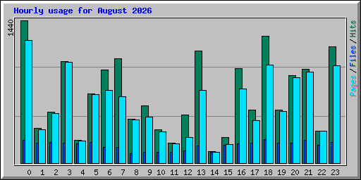Hourly usage for August 2026